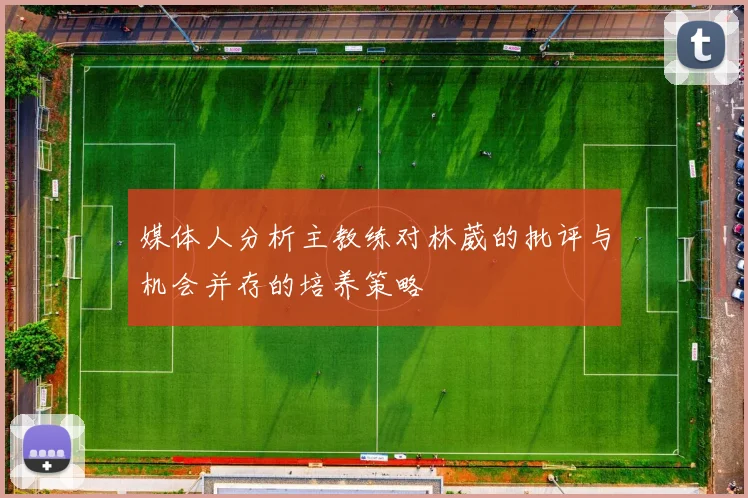 媒体人分析主教练对林葳的批评与机会并存的培养策略