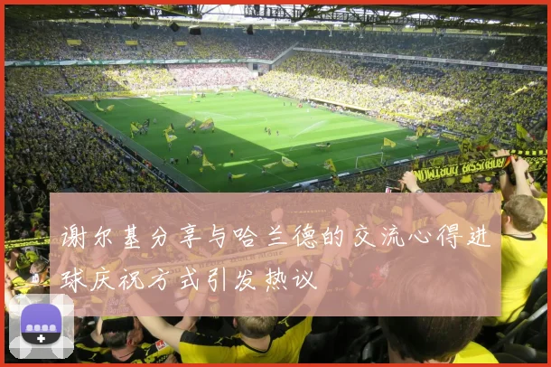 谢尔基分享与哈兰德的交流心得进球庆祝方式引发热议